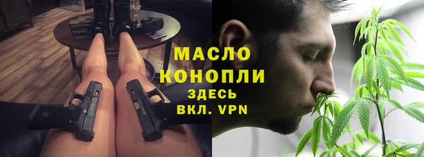 гидра Дмитров