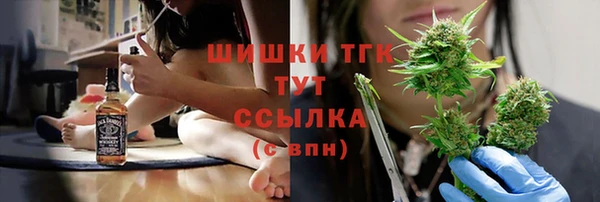 гашик Дмитриев