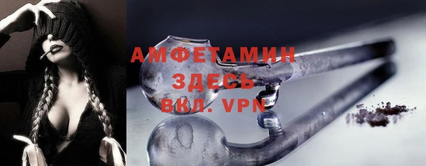 гашик Дмитриев
