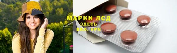 гашик Дмитриев