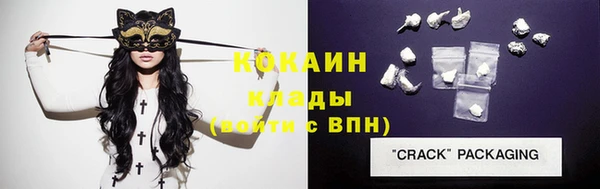 гидра Дмитров
