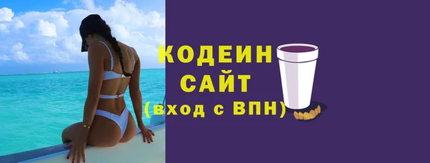 гашик Дмитриев