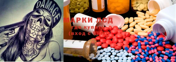 гидра Дмитров