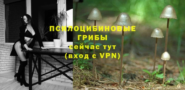 гидра Дмитров