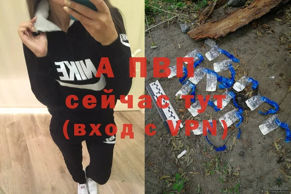 гидра Дмитров