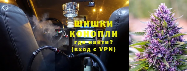 гашик Дмитриев