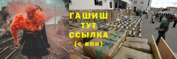 гидра Дмитров
