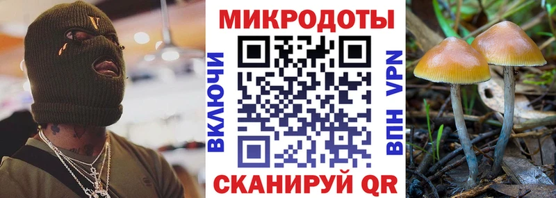 Псилоцибиновые грибы Psilocybine cubensis  Печоры 