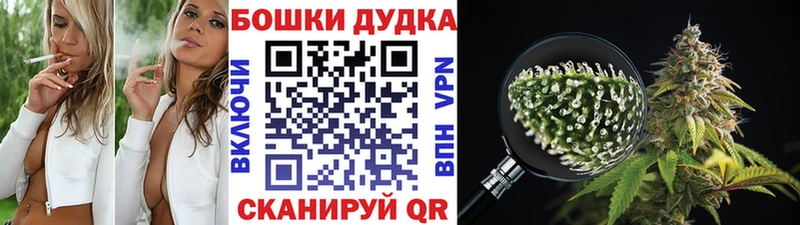 кракен как зайти  Печоры  Канабис планчик 